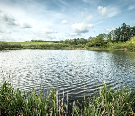 ET-2019-371-Vulcanpfad, Eichholzmaar, © Eifel Tourismus GmbH, Dominik Ketz