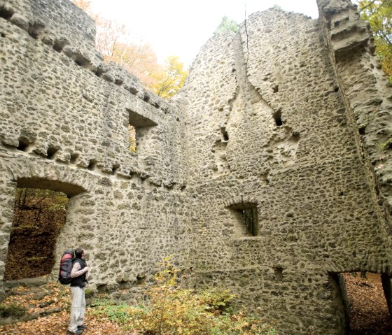 Eifelsteig, bij de Nerotherkopf, © Rheinland-PfalzTourismus GmbH - Dominik Ketz