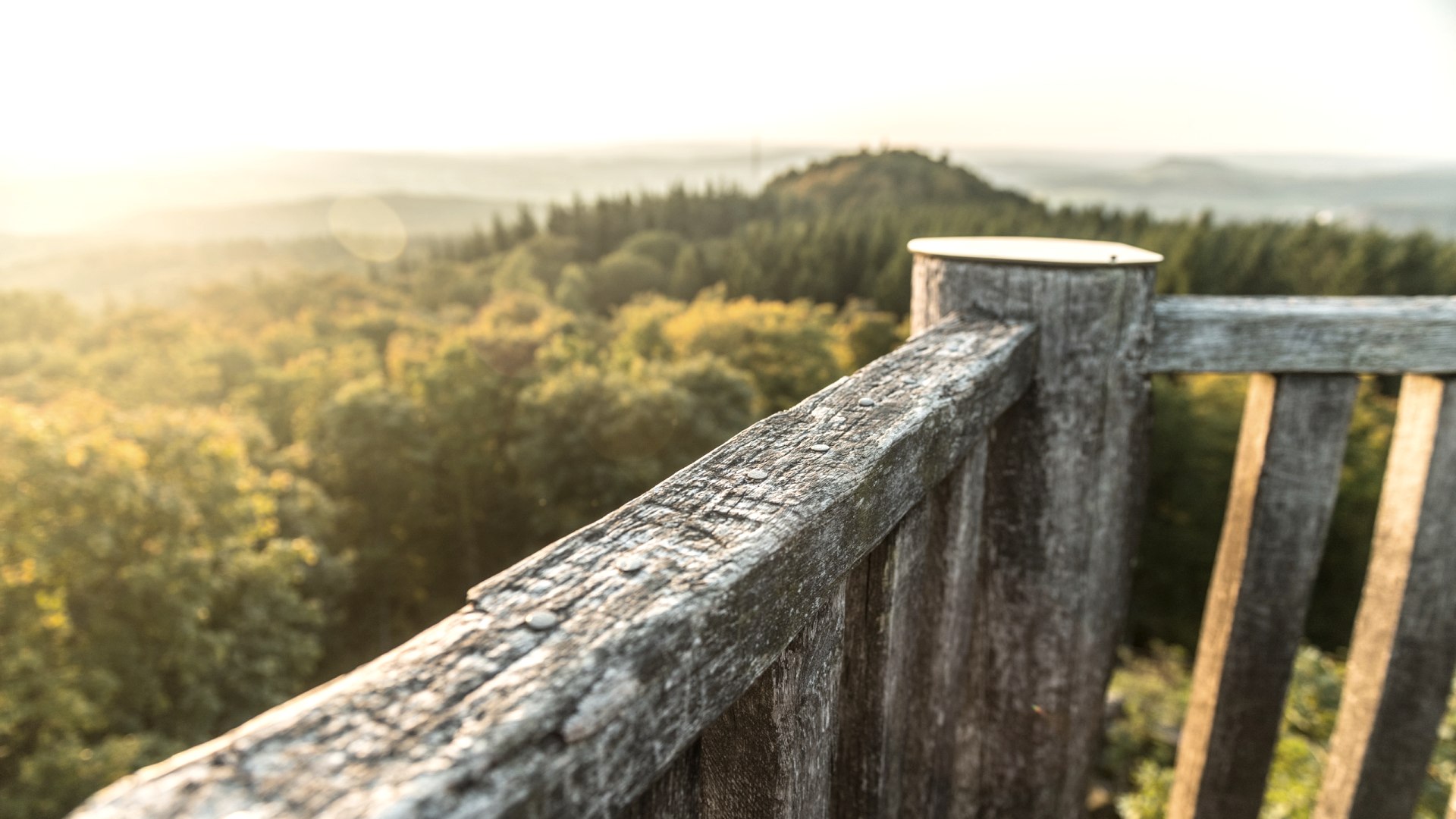 Dietzenley bei Gerolstein, © Eifel Tourismus GmbH, D. Ketz