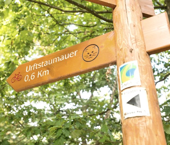 Vorbei am Wildnistrail auf dem Eifelsteig, © Eifel Tourismus GmbH, D. Ketz