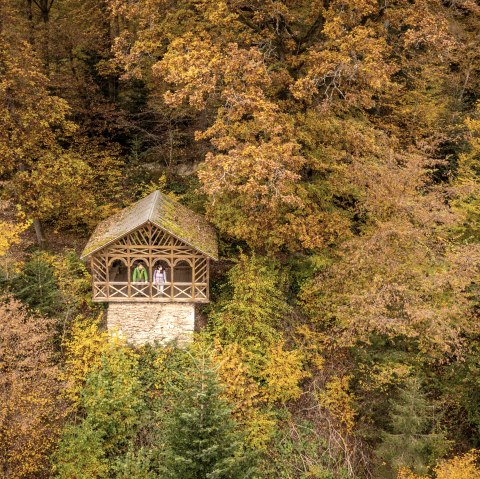 Blick aus der Balduinshütte ins Liesertal, Eifelsteig Etappe 12, © Eifel Tourismus GmbH, Dominik Ketz