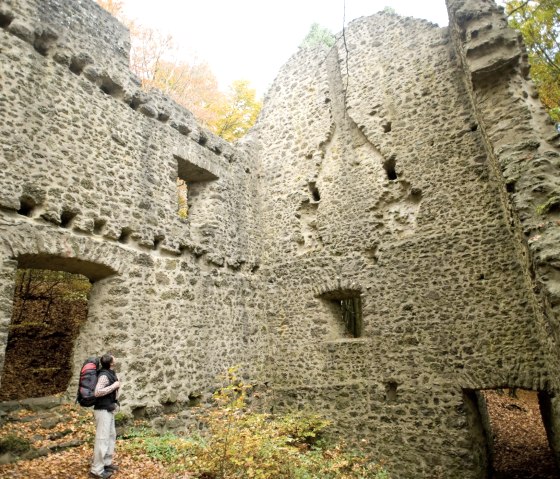 Eifelsteig, at the Nerotherkopf, © Rheinland-PfalzTourismus GmbH - Dominik Ketz