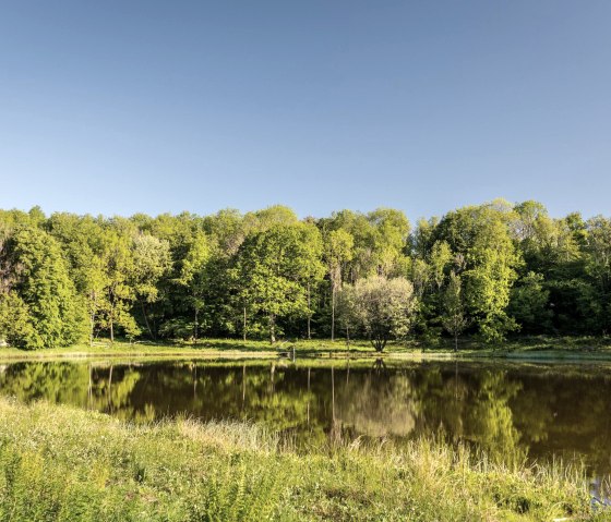 Windsborn Kratersee, © GesundLand Vulkaneifel GmbH/D. Ketz