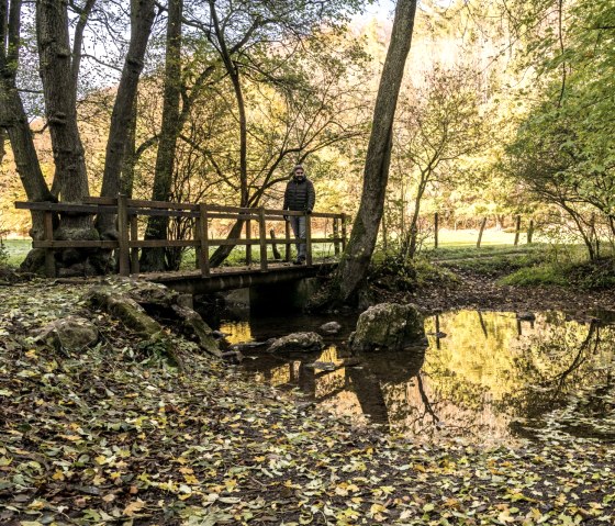 Am Gillesbach auf Eifelsteig-Etappe 6, © Eifel Tourismus GmbH, D. Ketz