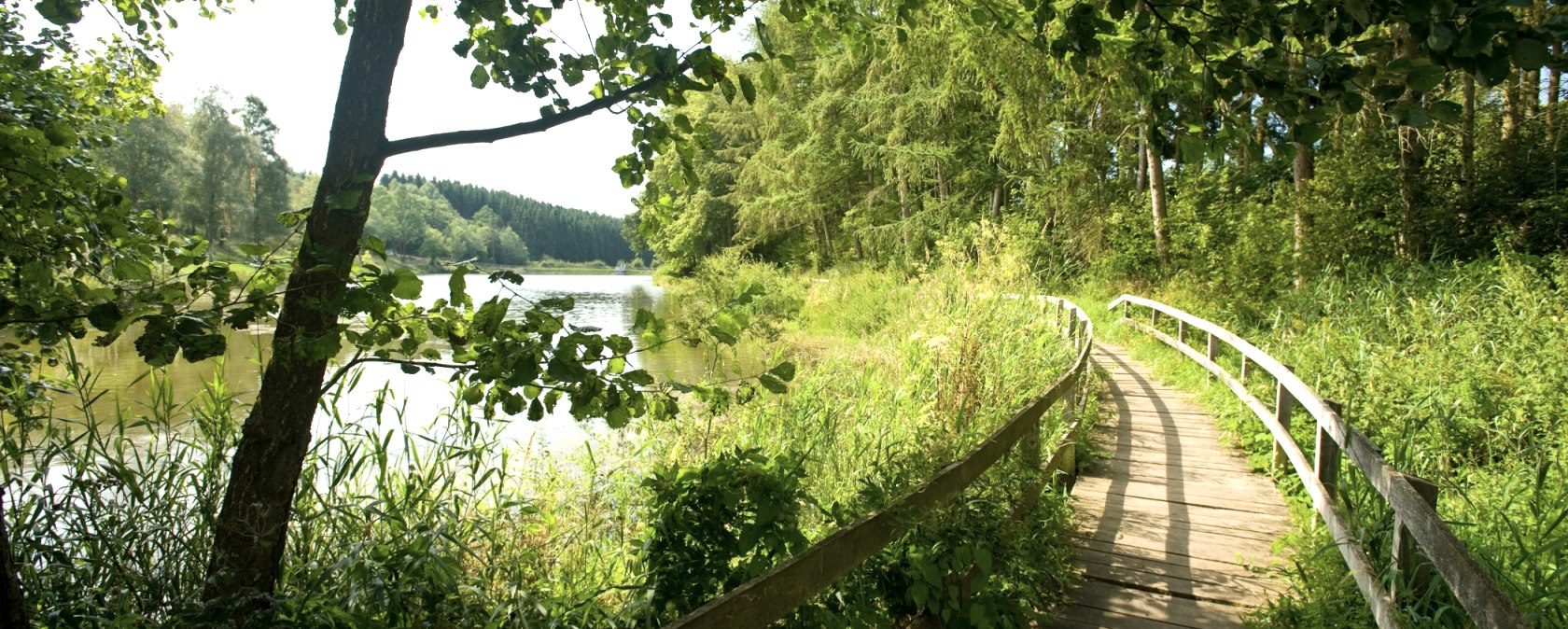 Eifelsteig Wegbeschaffenheit, © Eifel Tourismus/D. Ketz