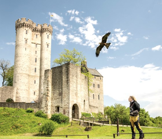 Adler & Wolfspark Kasselburg, Pelm, © Eifel Tourismus GmbH, Dominik Ketz