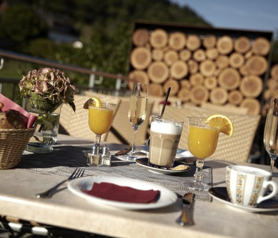 Petit-déjeuner sur la terrasse ensoleillée