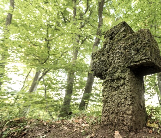 Wandern auf dem Schneifel-Pfad -Weg des Friedens, © Eifel Tourismus GmbH, D. Ketz