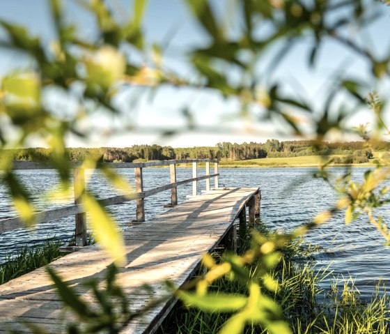 Jungferweiher Steg, © GesundLand Vulkaneifel /D. Ketz