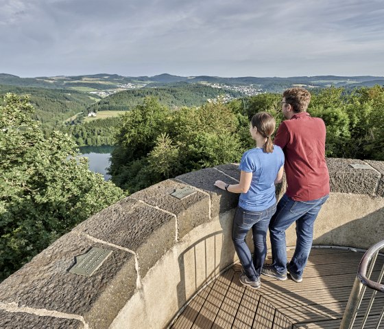 Landschaftsblick vom Dronketurm, © Rheinland-Pfalz Tourismus GmbH/Florian Trykowski