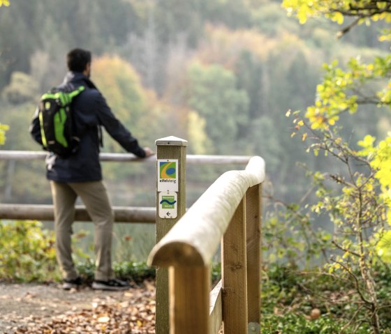 ET-2022-015-Eifelsteig-Wildnistrail, Nationalpark-@Eifel Tourismus GmbH, Dominik Ketz, © Eifel Tourismus GmbH, Dominik Ketz