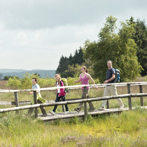 Hohes Venn bei Botrange, © vennbahn.eu