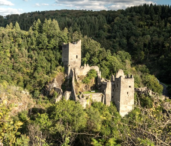 Niederburg Manderscheid, © Rheinland-Pfalz Tourismus GmbH, Dominik Ketz