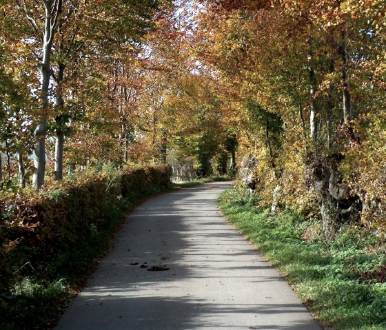 Wandertour Heckenlandroute, © Monschauer Land