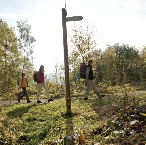 Eifelsteig am Kuckucksley bei Olef, © Rheinland-Pfalz Tourismus, D. Ketz