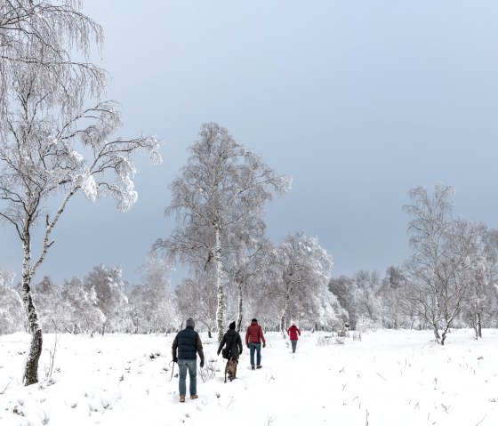 Winterwandern auf der Struffeltroute, © Eifel Tourismus GmbH, D. Ketz