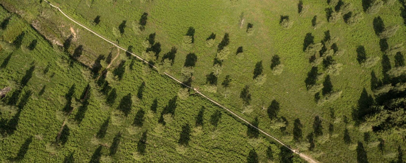 Aerial view of the Struffelt Heath on the Eifelsteig trail, © Eifel Tourismus GmbH, D. Ketz