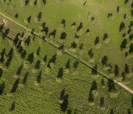 The Struffelt Heath, © Eifel Tourismus GmbH, Dominik Ketz