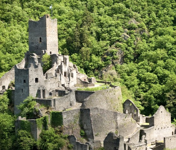 Wanderweg Manderscheider Burgenstieg: Niederburg, © Rheinland-Pfalz Tourismus GmbH - D. Ketz