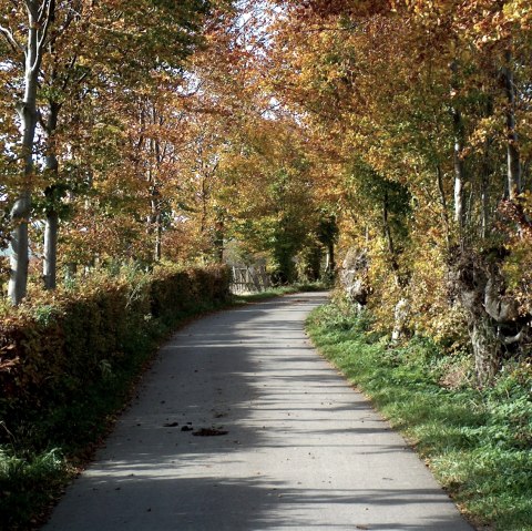 Wandertour Heckenlandroute, © Monschauer Land