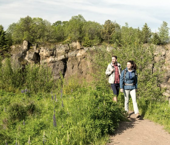 Wandern durch den Steffelnkopf am Vulkan-Pfad, © Eifel Tourismus GmbH, D. Ketz